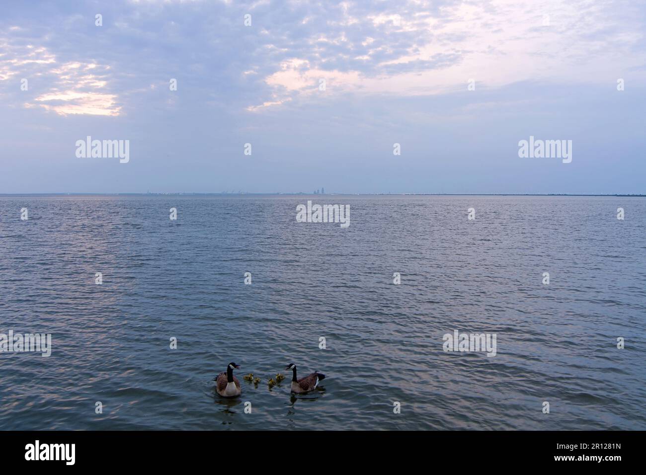 Oche e gabbie su Mobile Bay Foto Stock