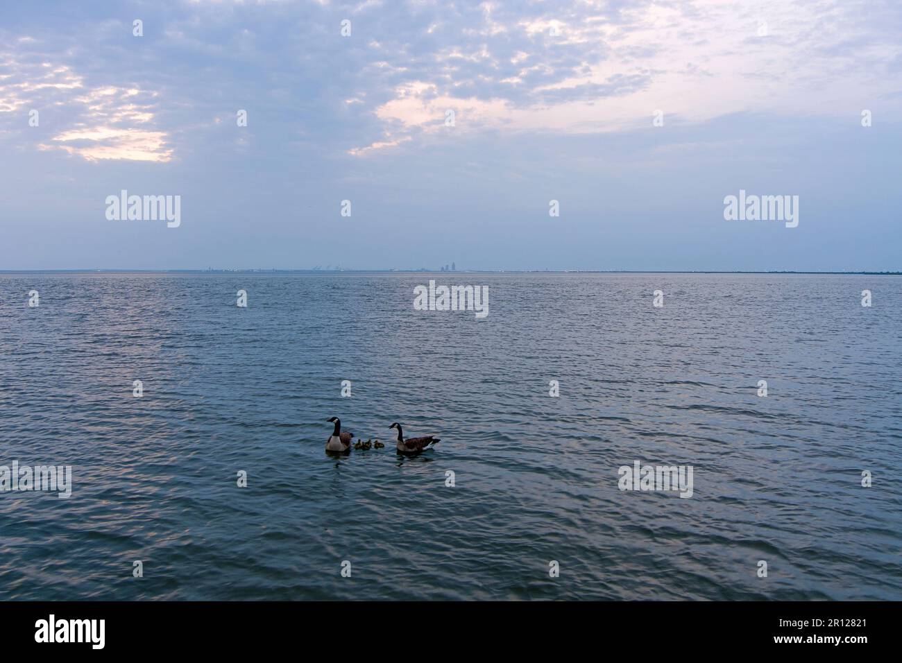 Oche e gabbie su Mobile Bay Foto Stock