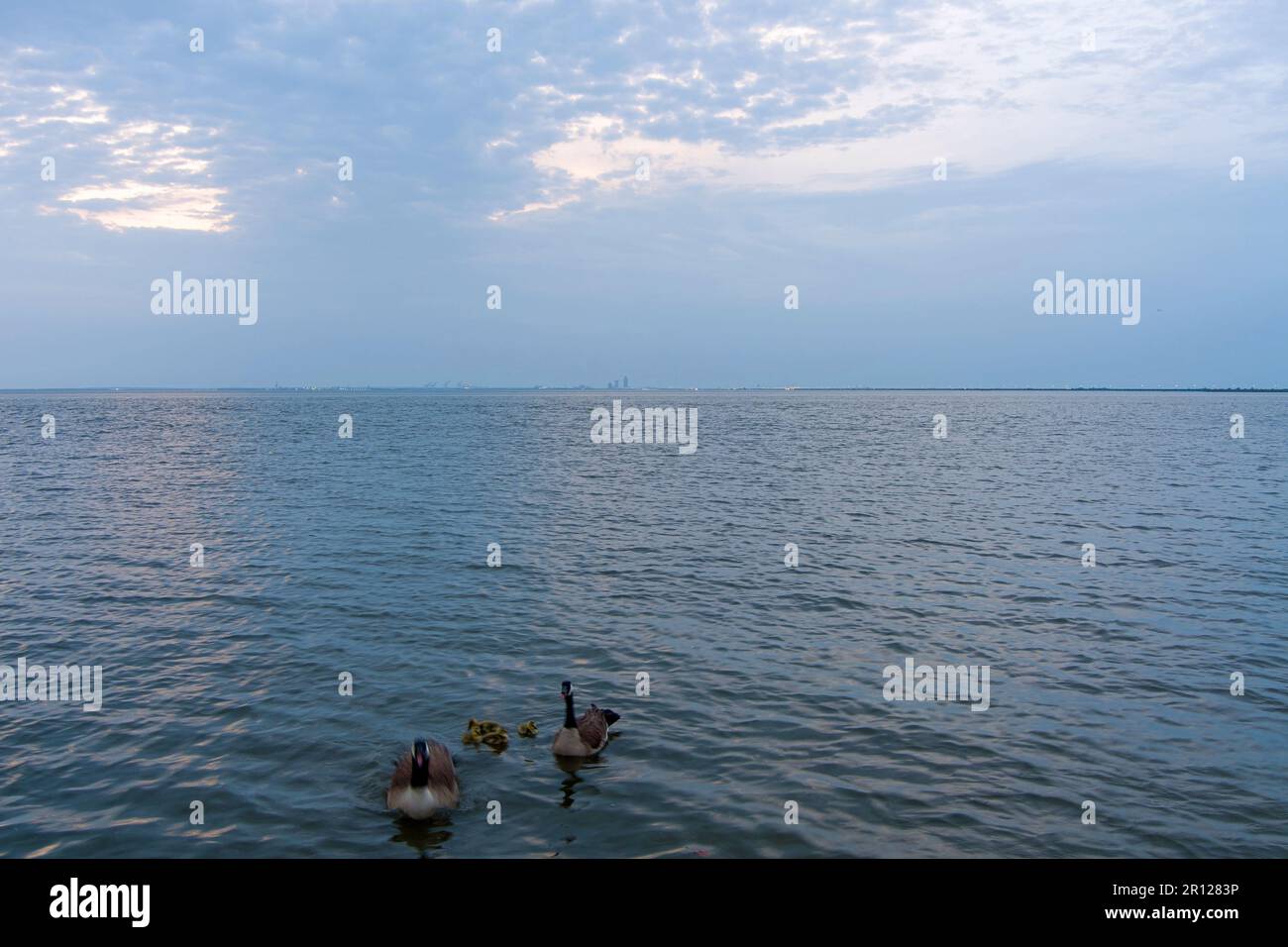 Oche e gabbie su Mobile Bay Foto Stock