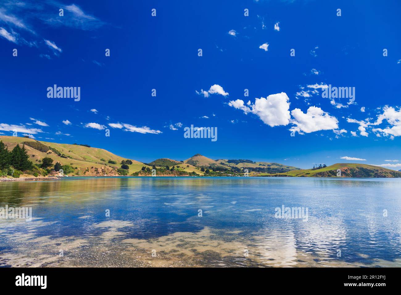 Panoramica della costa del Porto di Otago vicino a Dunedin nell'Isola Sud della Nuova Zelanda Foto Stock