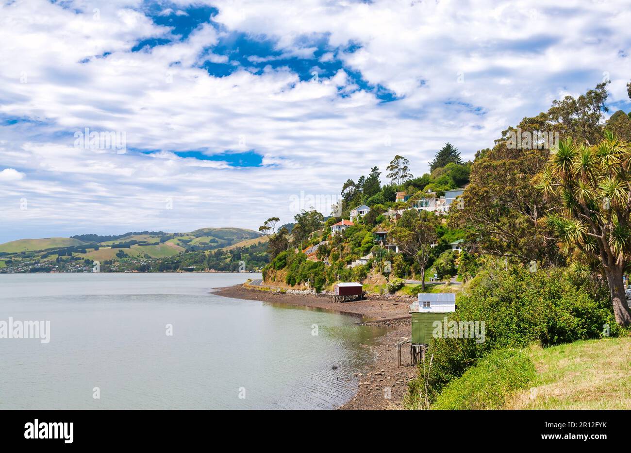 Panoramica della costa del Porto di Otago vicino a Dunedin nell'Isola Sud della Nuova Zelanda Foto Stock