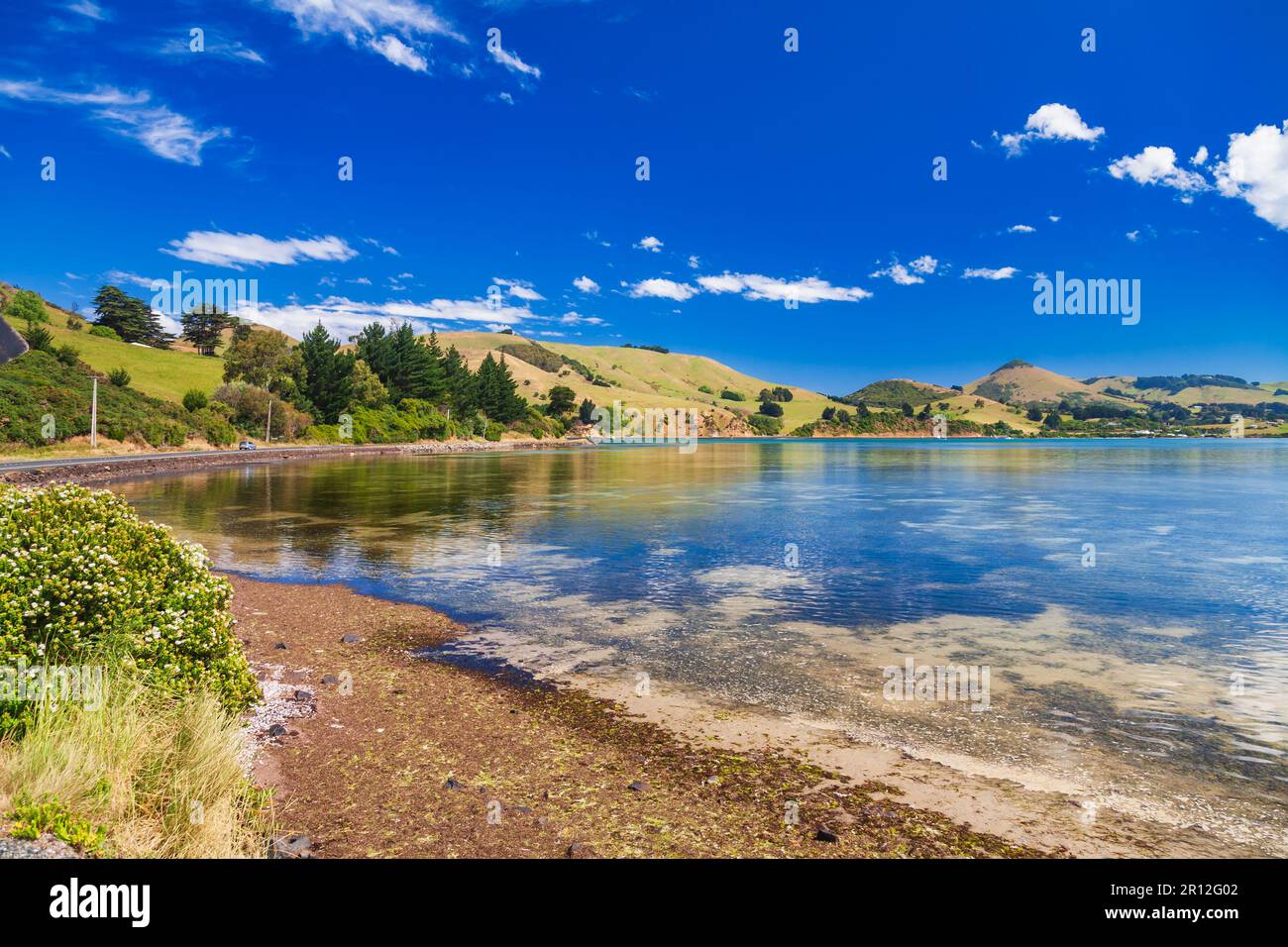Panoramica della costa del Porto di Otago vicino a Dunedin nell'Isola Sud della Nuova Zelanda Foto Stock