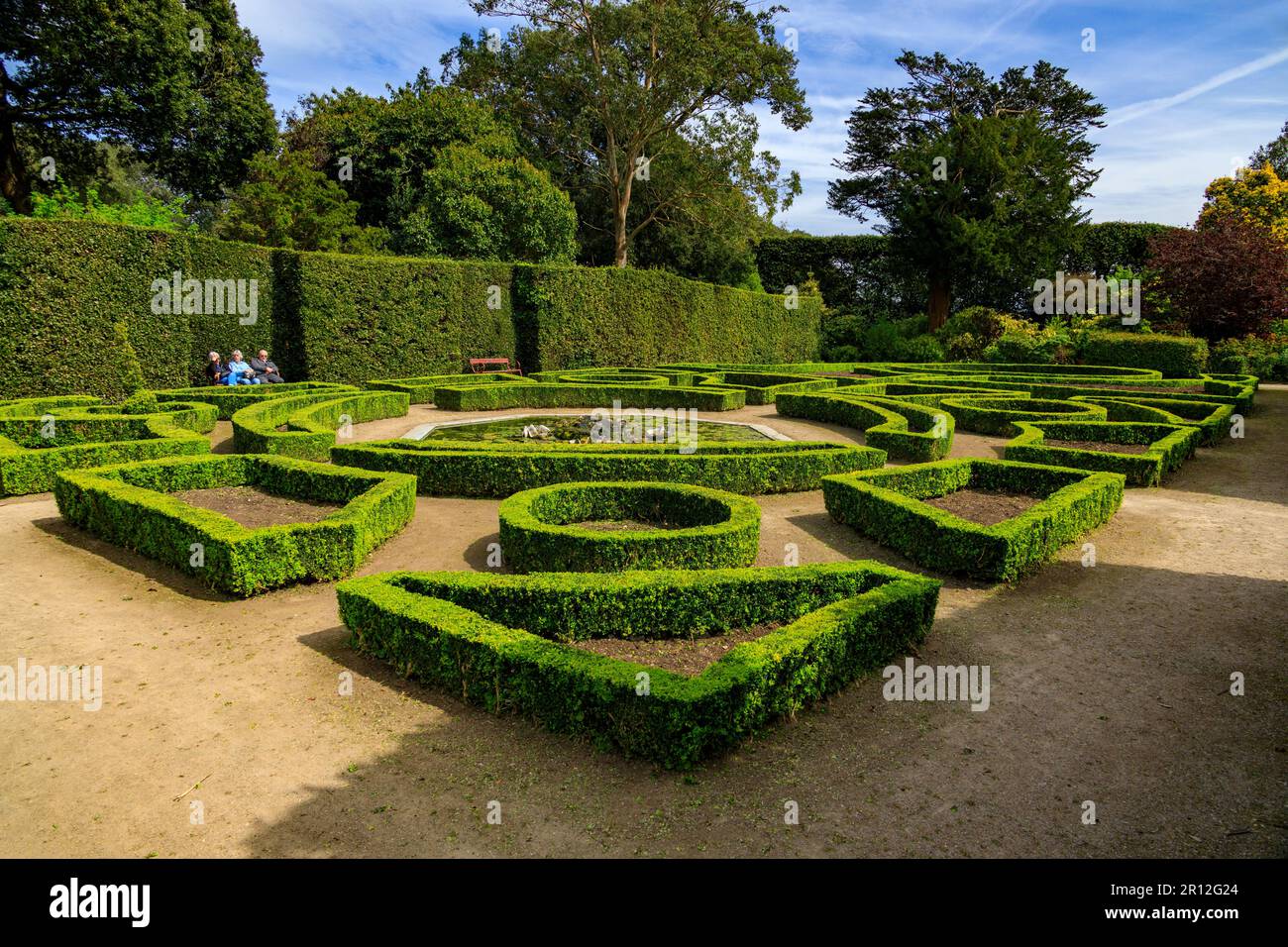 Il Giardino Francese aveva rifinito le siepi di scatola e una fontana di conchiglia nel Parco di paese di Mount Edgcombe, Cornovaglia, Inghilterra, Regno Unito Foto Stock