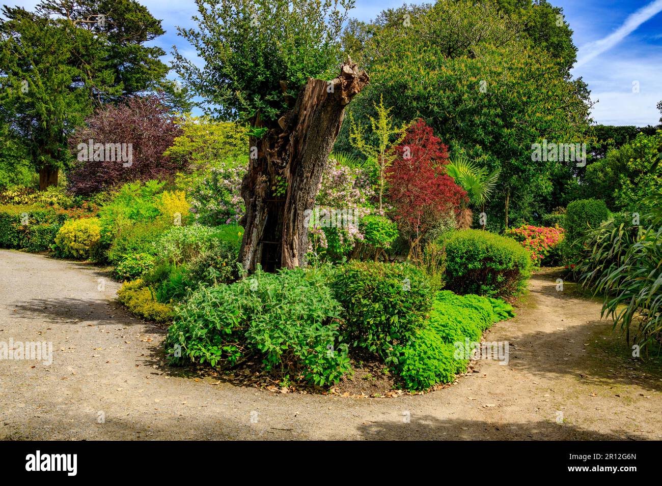 Il colorato Lower Garden nel Mount Edgcombe Country Park, Cornovaglia, Inghilterra, Regno Unito Foto Stock