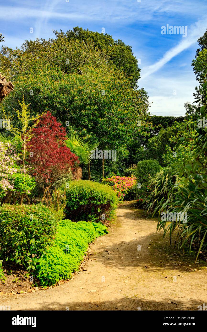 Il colorato Lower Garden nel Mount Edgcombe Country Park, Cornovaglia, Inghilterra, Regno Unito Foto Stock