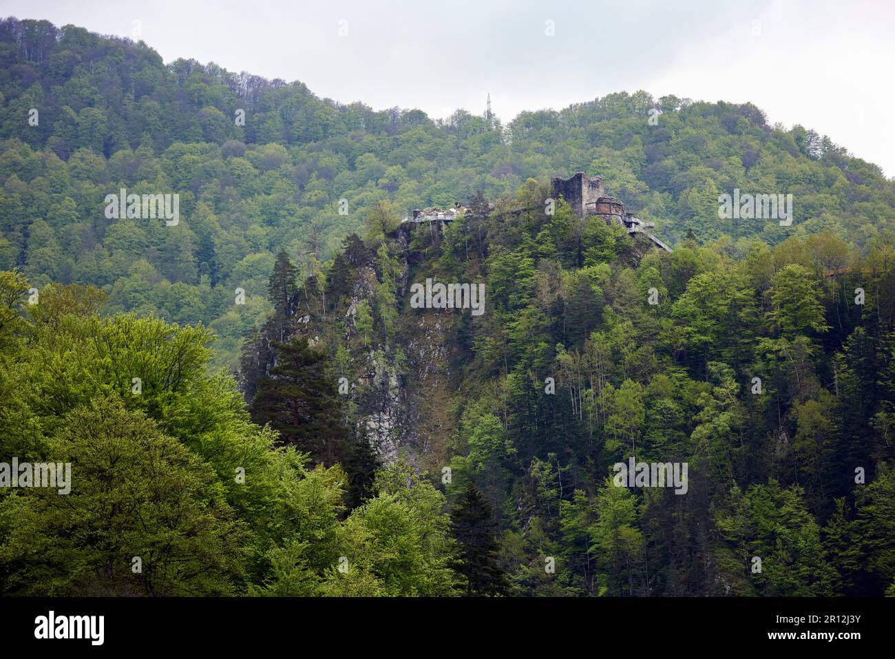 Paesaggio con la fortezza medievale Poienari famosa fortezza di Dracula Foto Stock