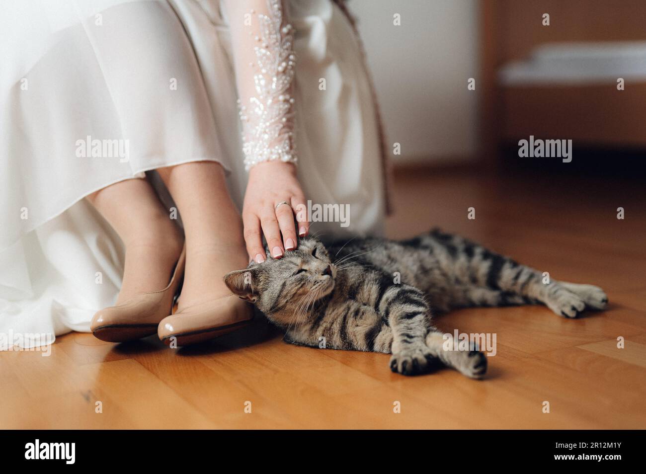 Una donna in un abito da sposa bianco tiene amorevolmente un gatto a strisce sdraiato sul pavimento. Foto Stock