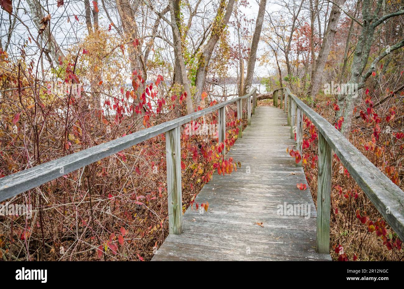 Piscataway Park, parco faunistico nel Maryland Foto Stock
