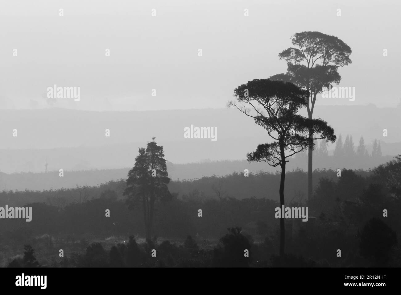 Paesaggio albero di montagna silhouette sullo sfondo arancione luce del sole Foto Stock