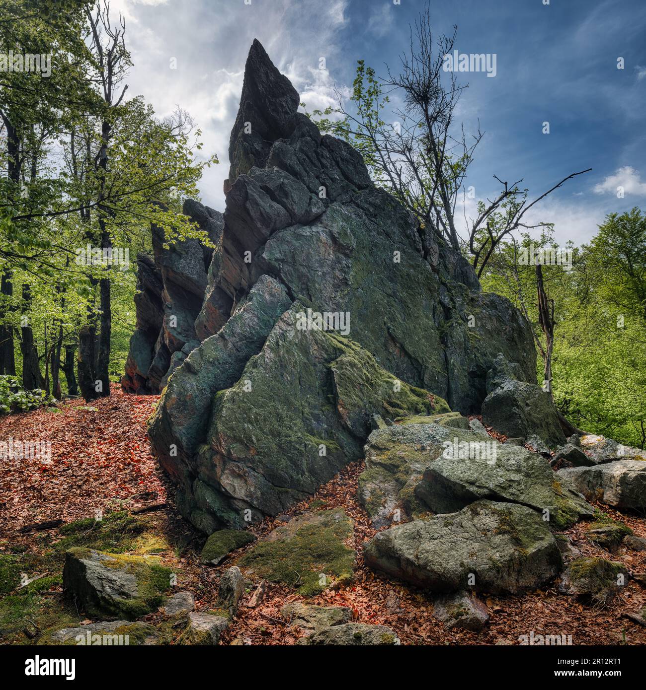 Una roccia appuntita è cresciuta di muschio verde su una collina in una foresta Foto Stock