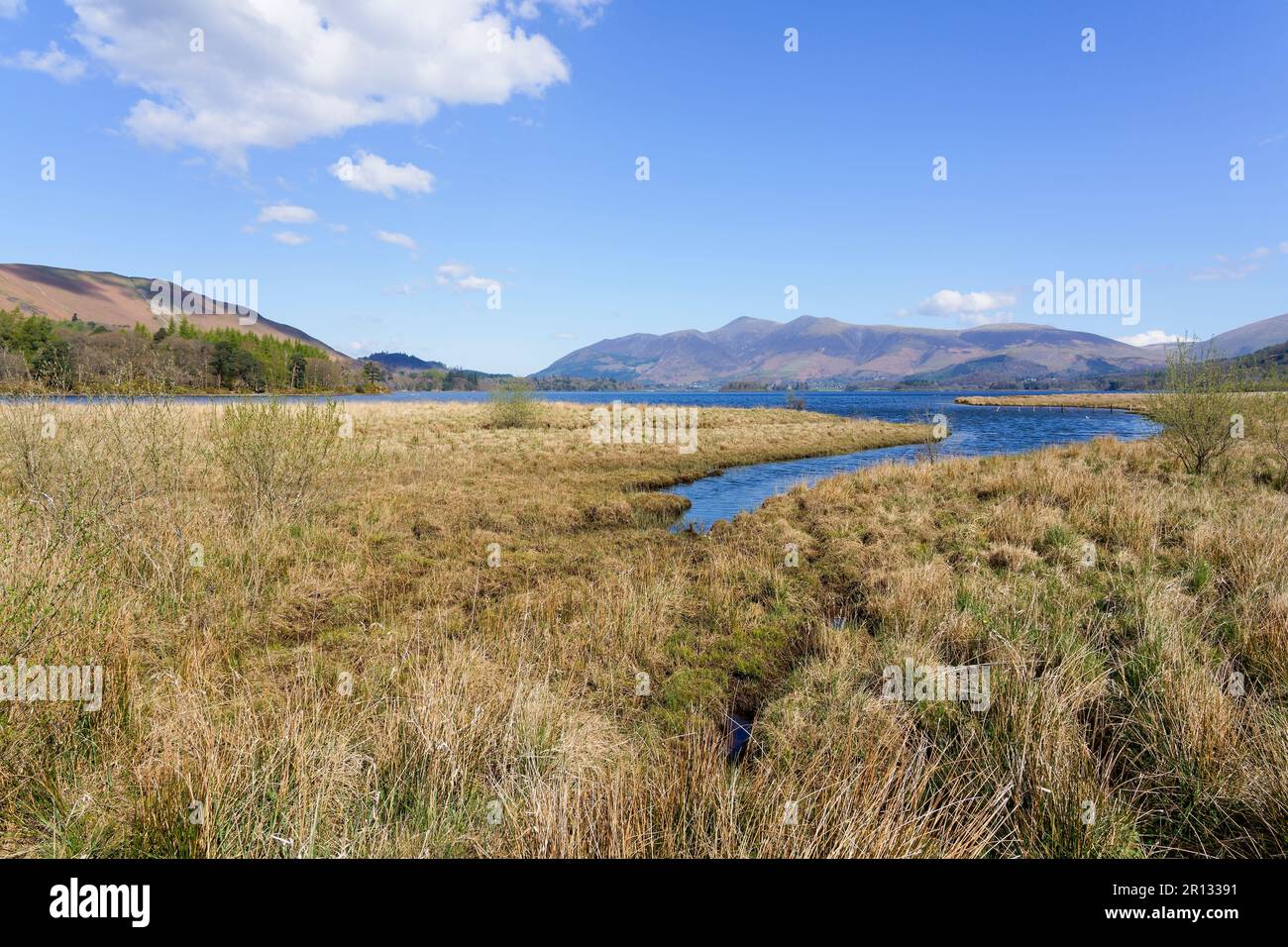 Attraverso paludi e piccoli ruscelli alla vasta distesa di Derwent acqua in primavera. Foto Stock