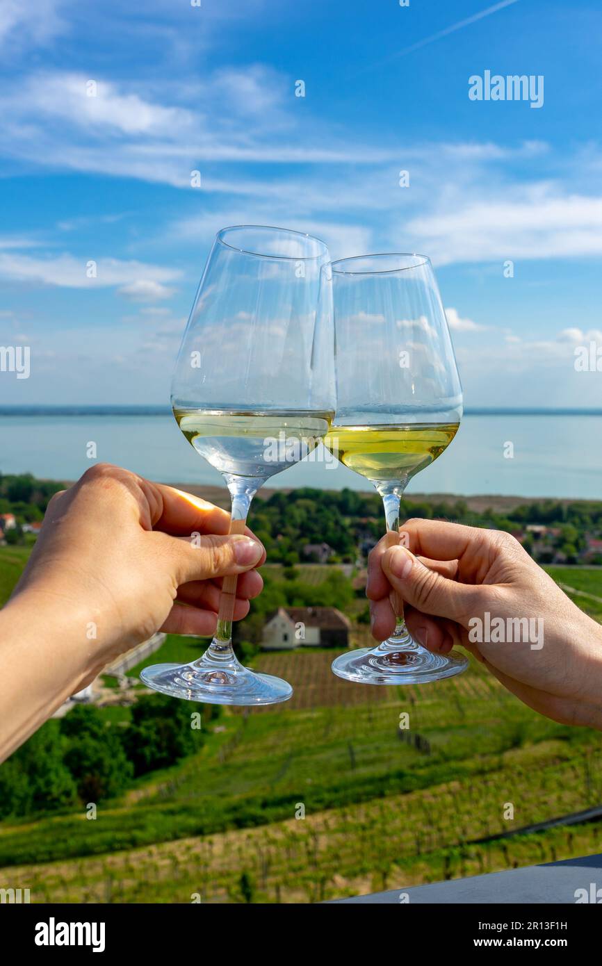 Romantico brindisi celebrativo con bicchieri da vino in un giardino viticolo sul lago Balaton a Baracsony Hungrey con splendida vista. Foto Stock