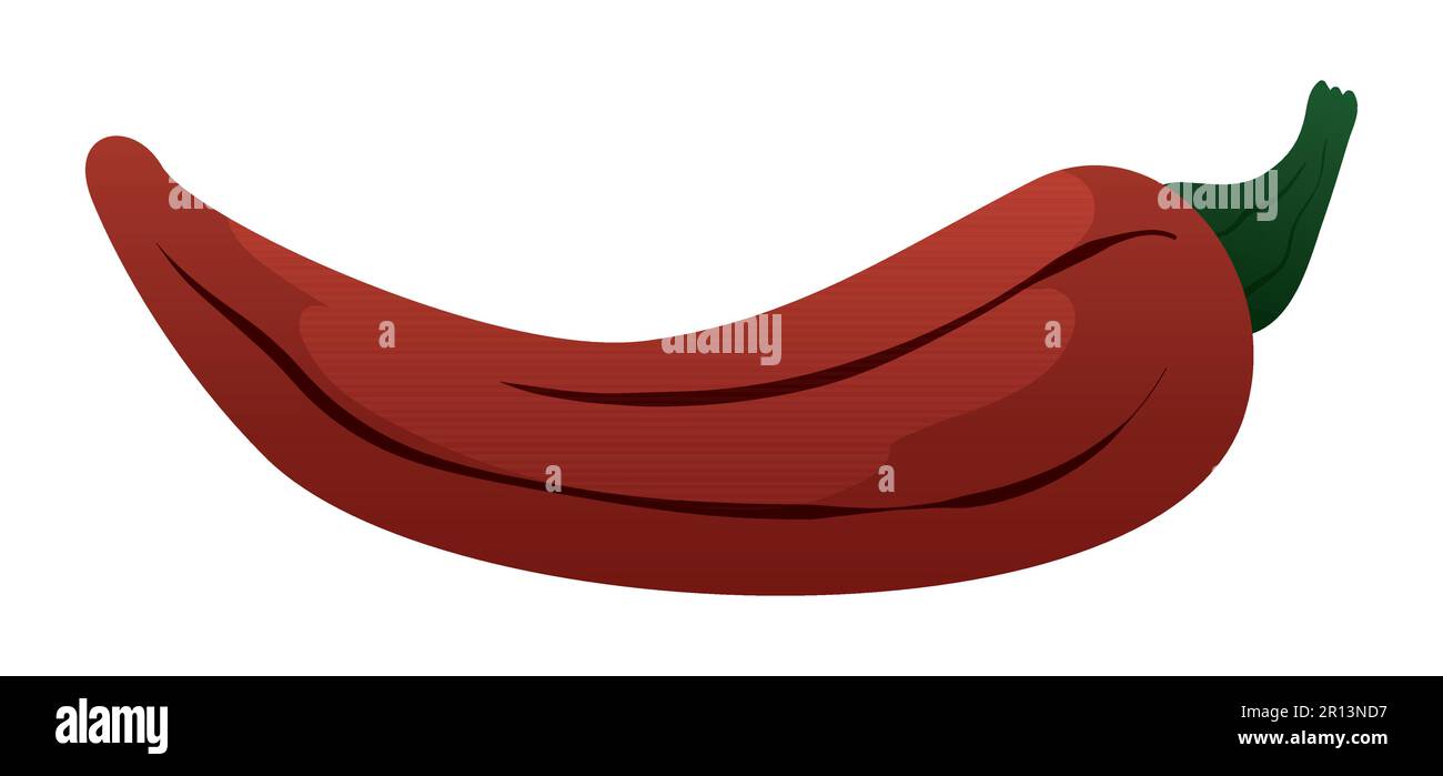 Vista del peperoncino rosso in stile cartoon con alcune linee su sfondo bianco. Illustrazione Vettoriale
