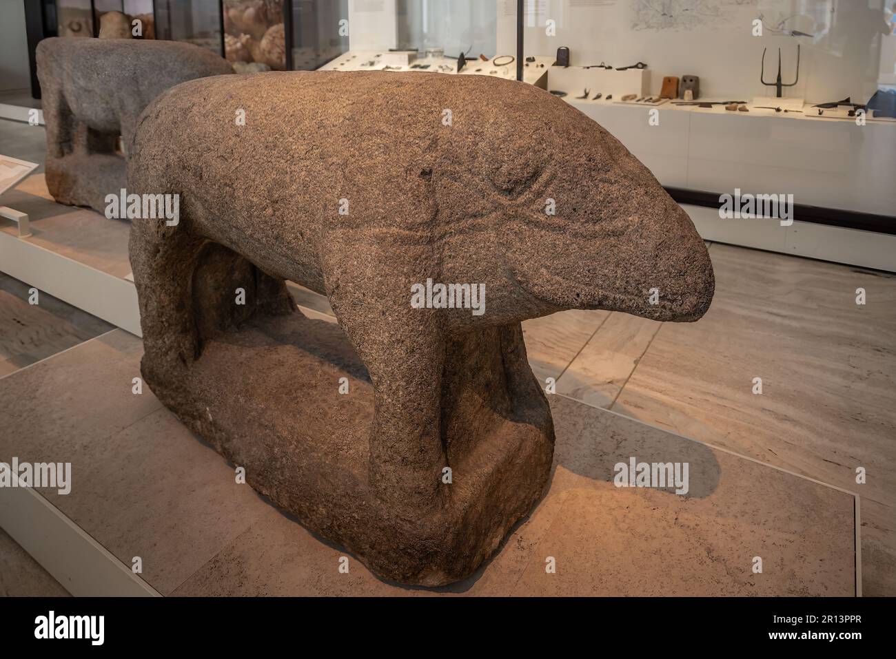 Pietra Verraco Pig monumento pre-romano al Museo Archeologico Nazionale - Madrid, Spagna Foto Stock