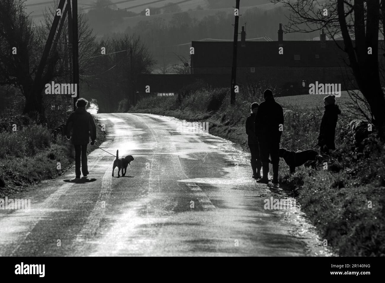 Dogwalkers in silhouette su una corsia di campagna vicino Belper nel Derbyshire, Inghilterra (bianco e nero) Foto Stock