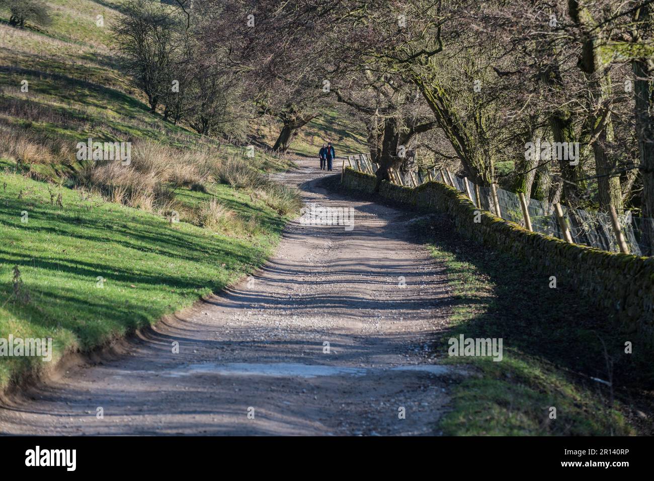 Una coppia che cammina lungo una corsia di campagna con lunghe ombre, vicino a Chatswoth, Derbyshire, Inghilterra Foto Stock