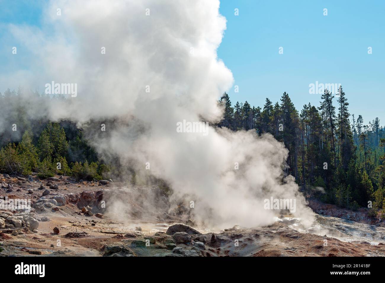 Steamboat geyser Steam, parco nazionale di Yellowstone, Wyoming, USA. Foto Stock