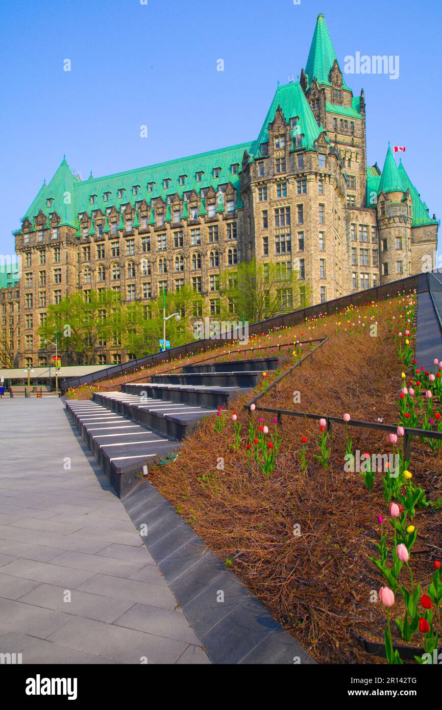 Canada, Ontario, Ottawa, Confederation Building, giardino, tulipani, Foto Stock