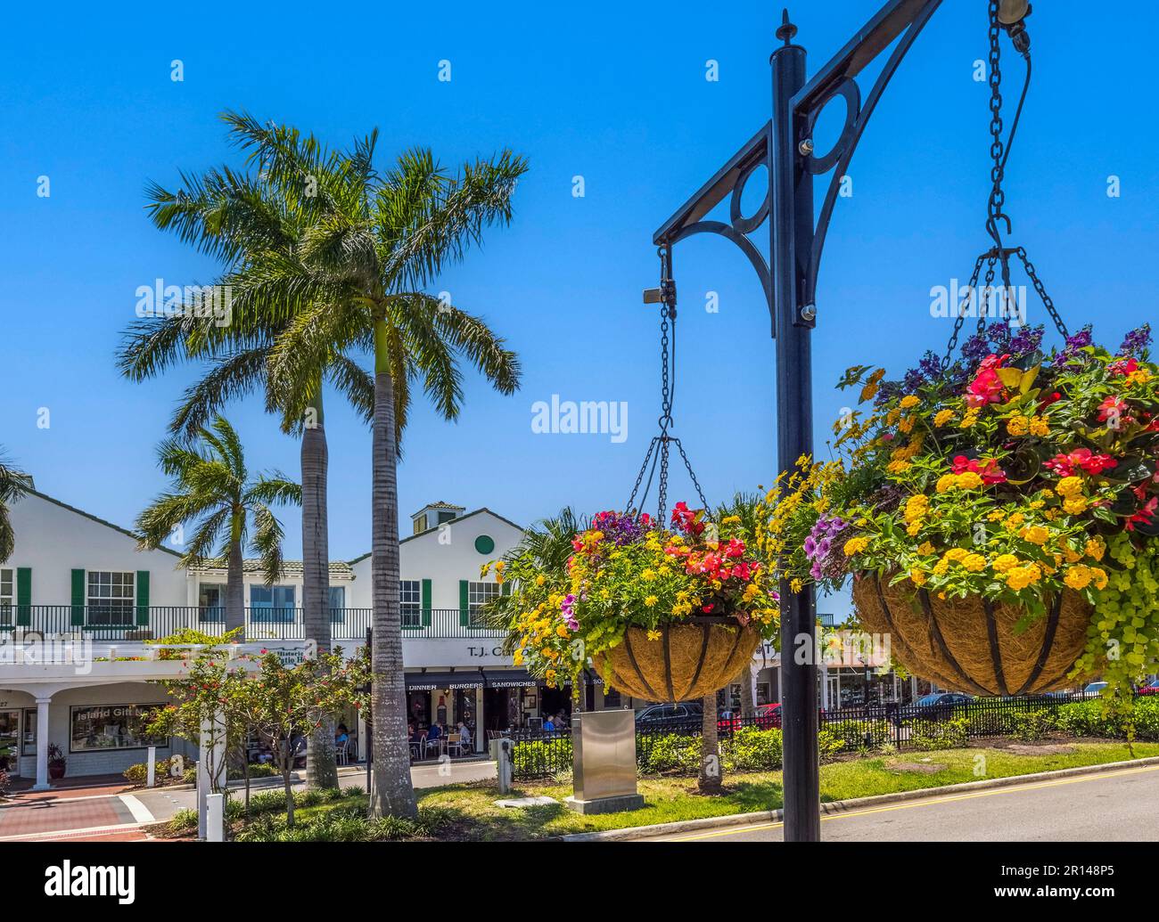 Fiori su West Venice Avenue nel centro di Venice Florida USA Foto Stock