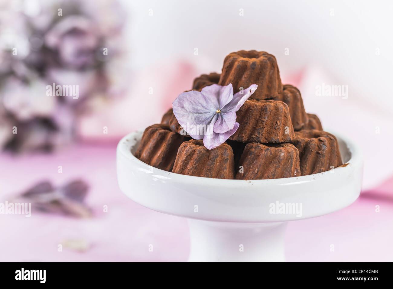 Praline al cioccolato in forma di piccoli dolci di Bundt, spolverati con cacao, su sfondo rosa chiaro, decorati con fiori di ortensia Foto Stock