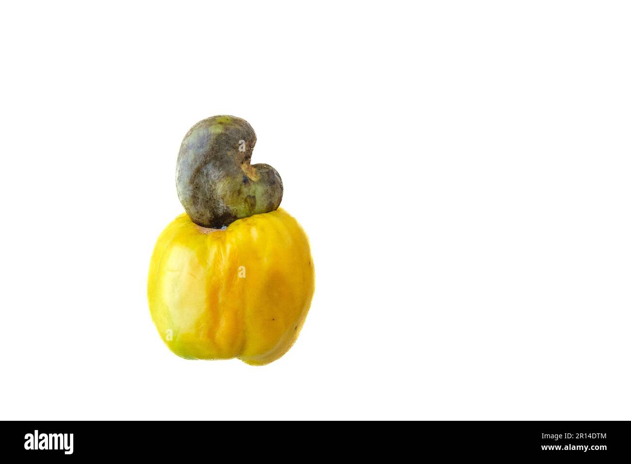 Frutto maturo di anacardi giallo su fondo bianco. Foto Stock