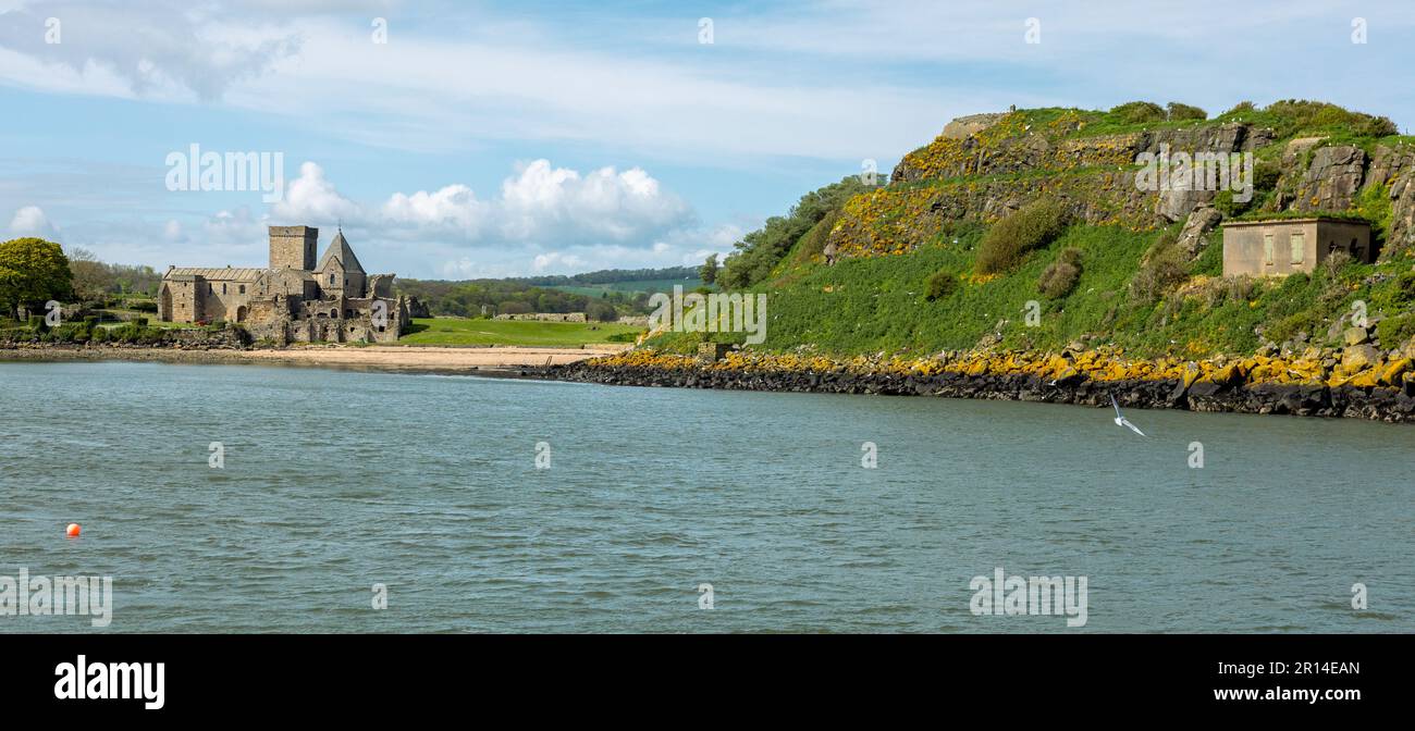 Inchcolm Island e Abbey su un'isola sul Firth of Forth, Scozia, Regno Unito Foto Stock
