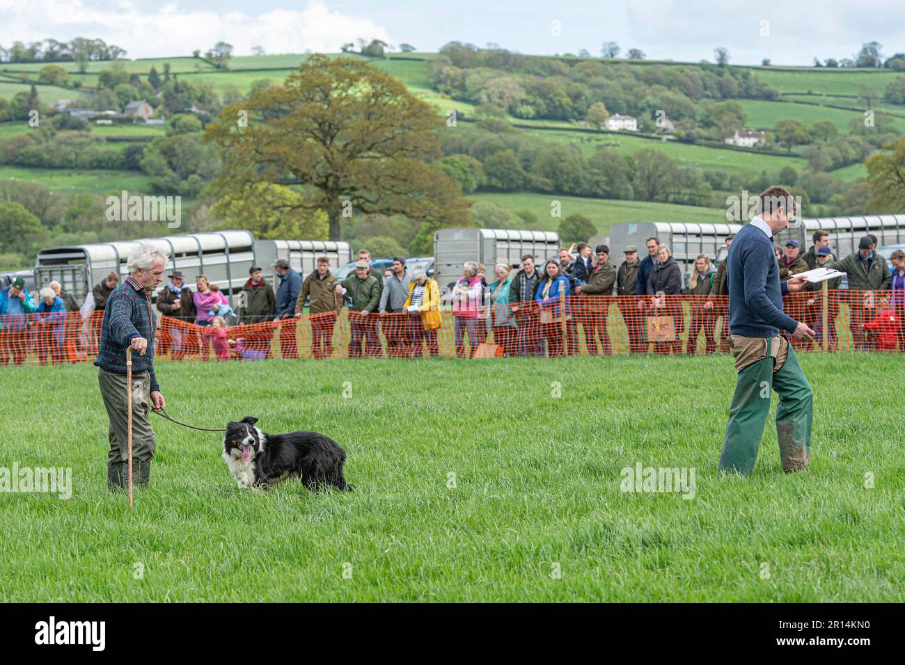 prova sheepdog Foto Stock prova sheepdog Foto Stock