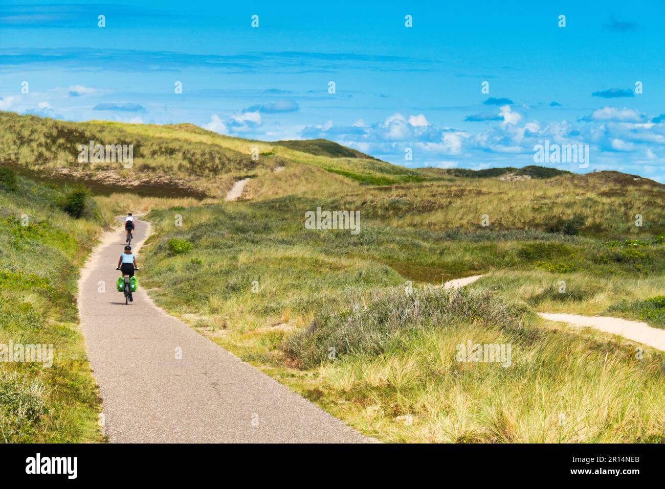 Ciclisti nelle dune del Nord Olanda Foto Stock