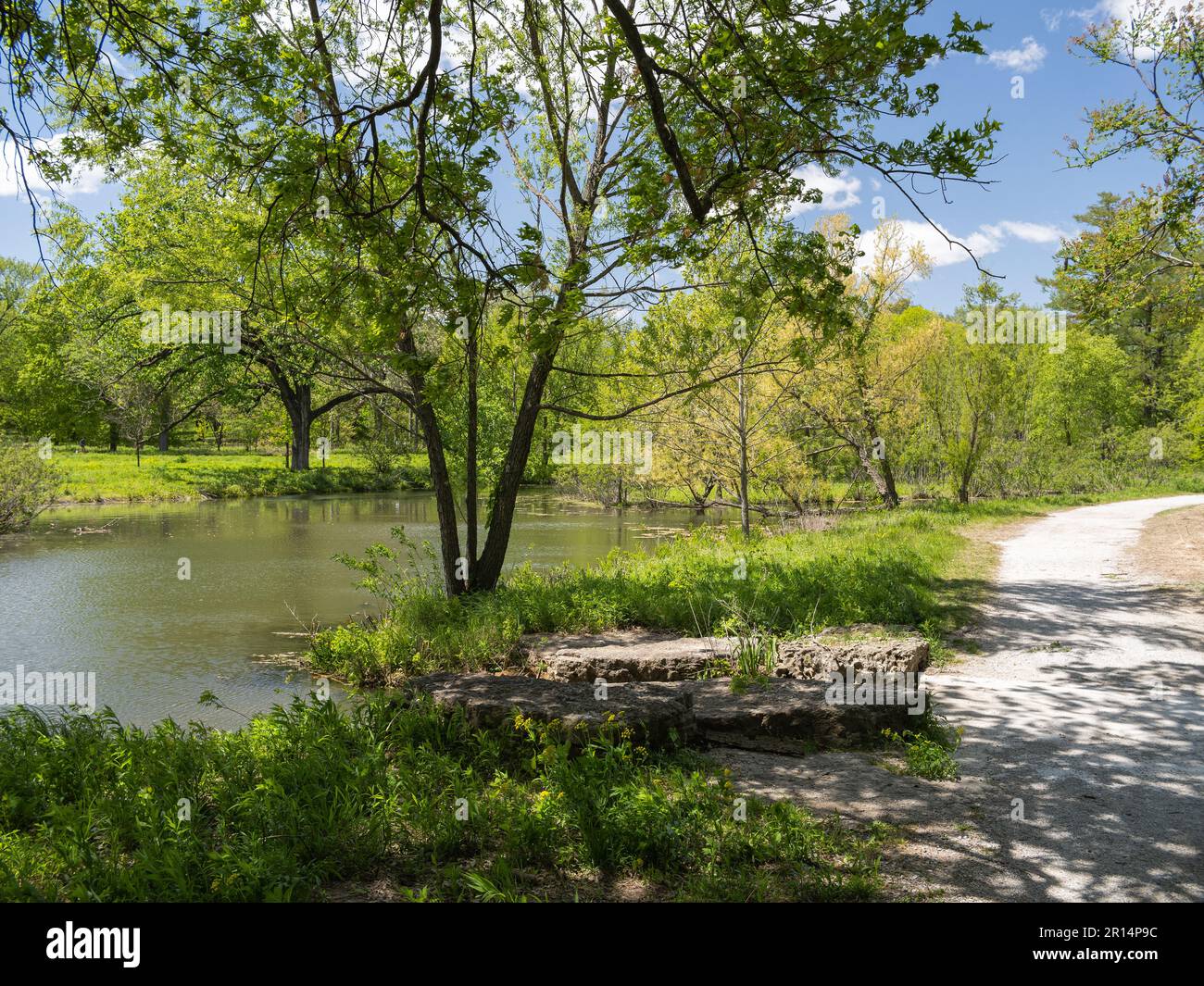 Progettazione paesaggistica a Forest Park Foto Stock