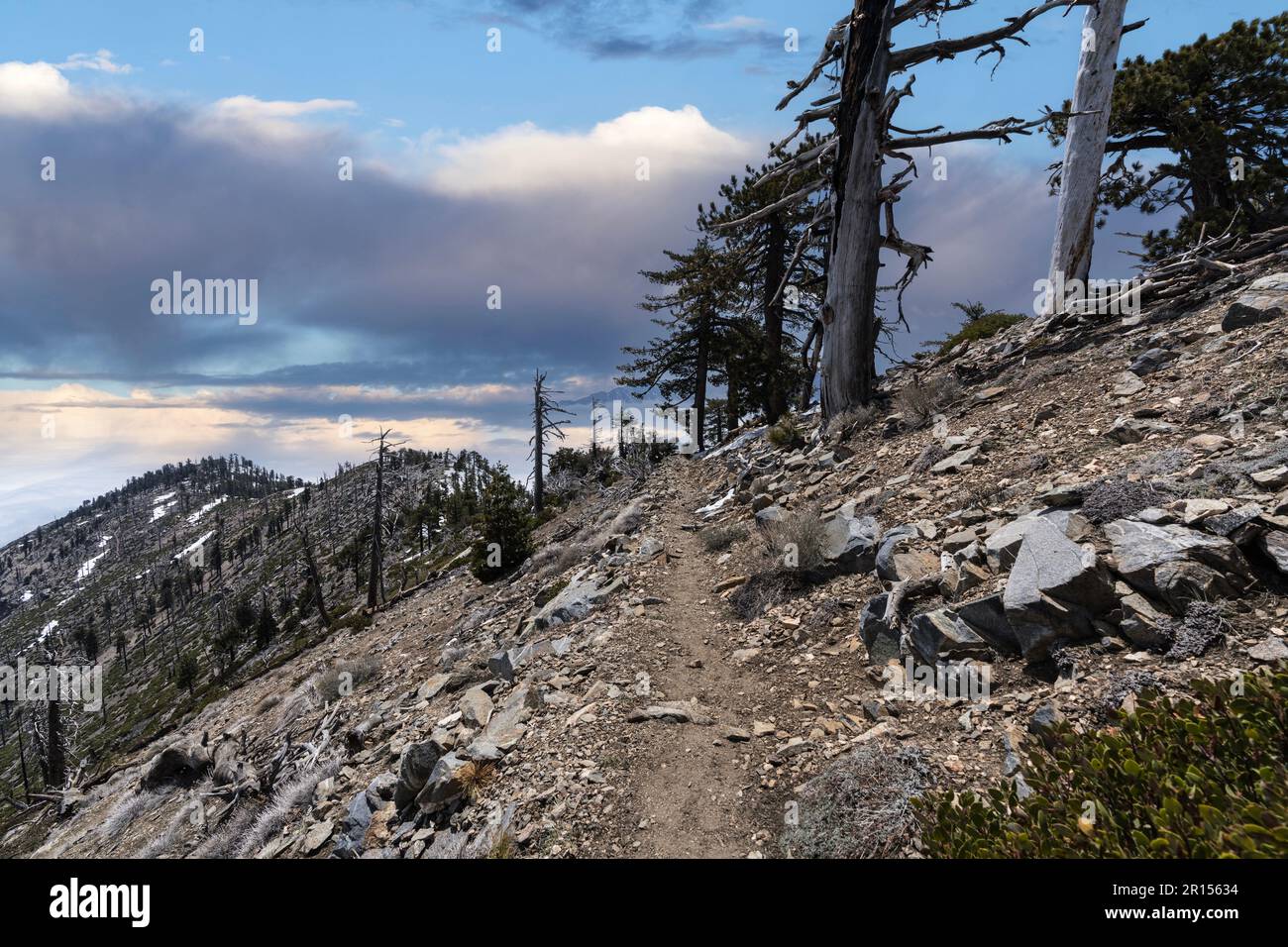 Vista dell'Islip Saddle Trail vicino al lago Crystal nelle San Gabriel Mountains della contea di Los Angeles, California. Foto Stock