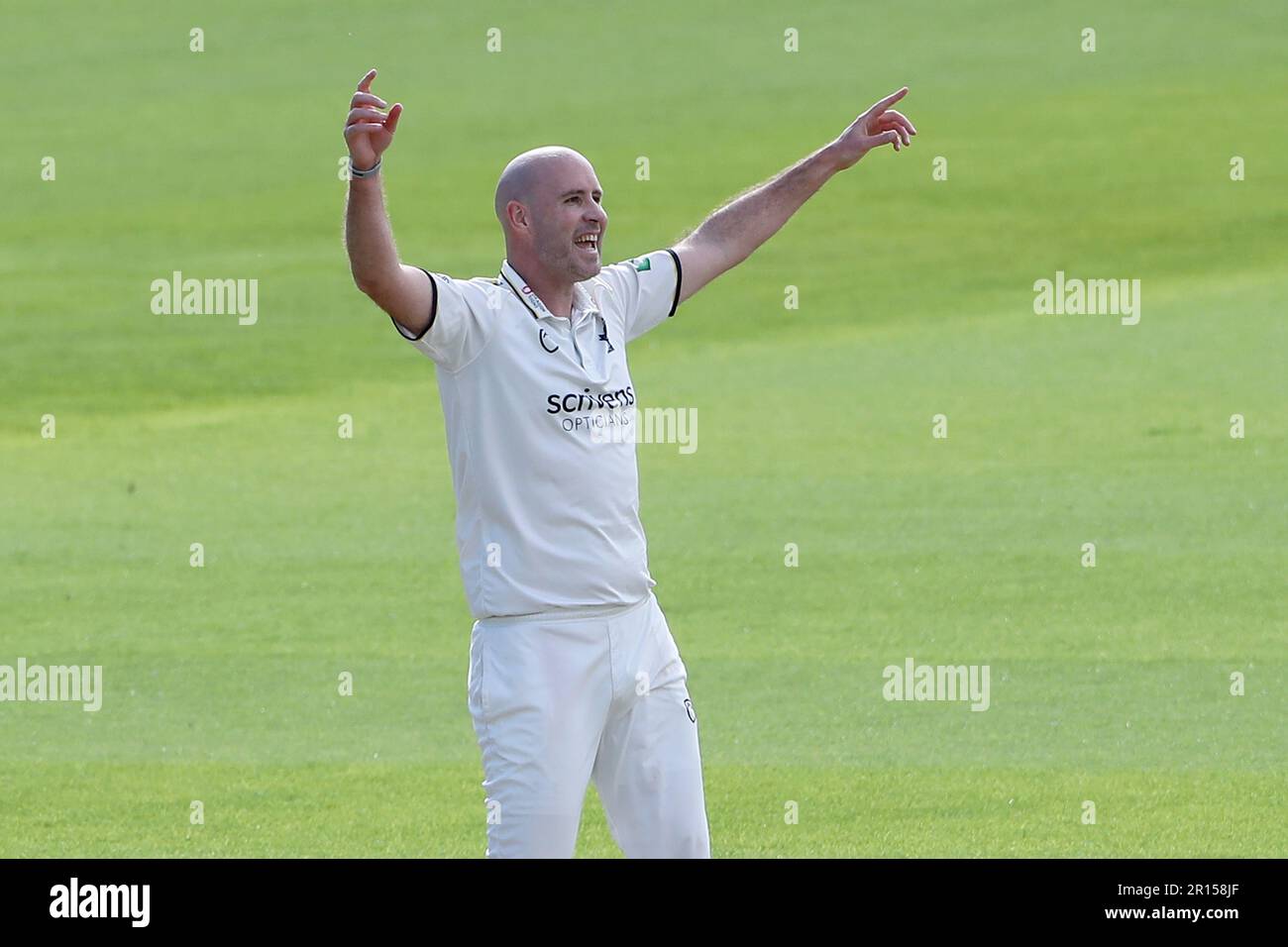 Chris Rushworth di Warwickshire festeggia la presa del wicket di Michael Pepper durante Warwickshire CCC vs Essex CCC, LV Insurance County Championship Foto Stock