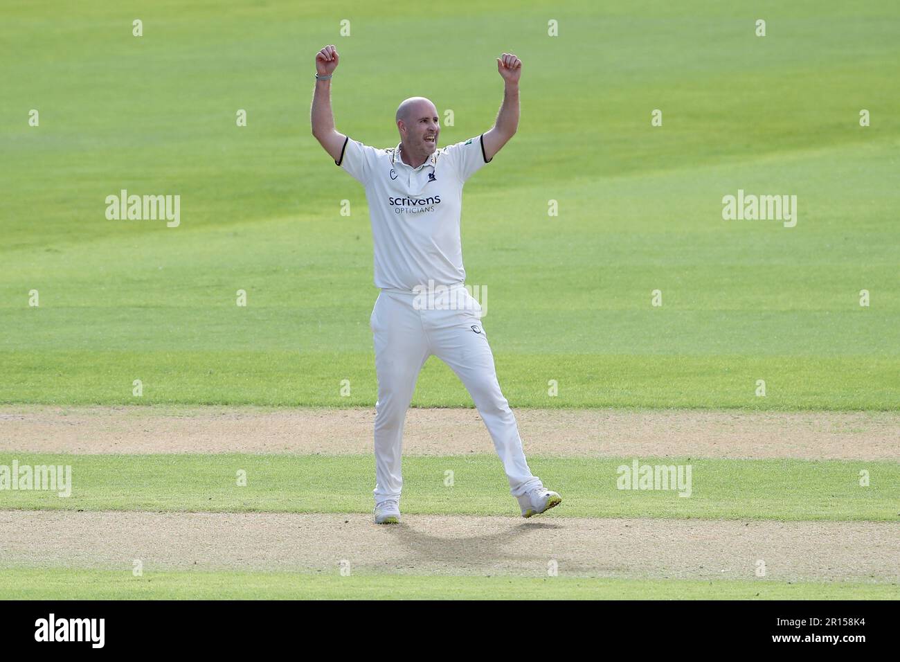 Chris Rushworth di Warwickshire festeggia la presa del wicket di Michael Pepper durante Warwickshire CCC vs Essex CCC, LV Insurance County Championship Foto Stock
