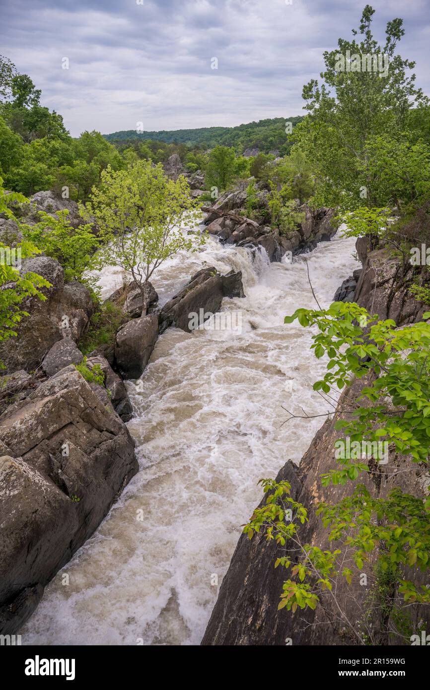 Vista di una cascata (un braccio laterale del fiume Potomac) lungo l'Olmstead Island Bridges Trail fino alle Great Falls Overlook nel Chesapeake e Ohio CA Foto Stock