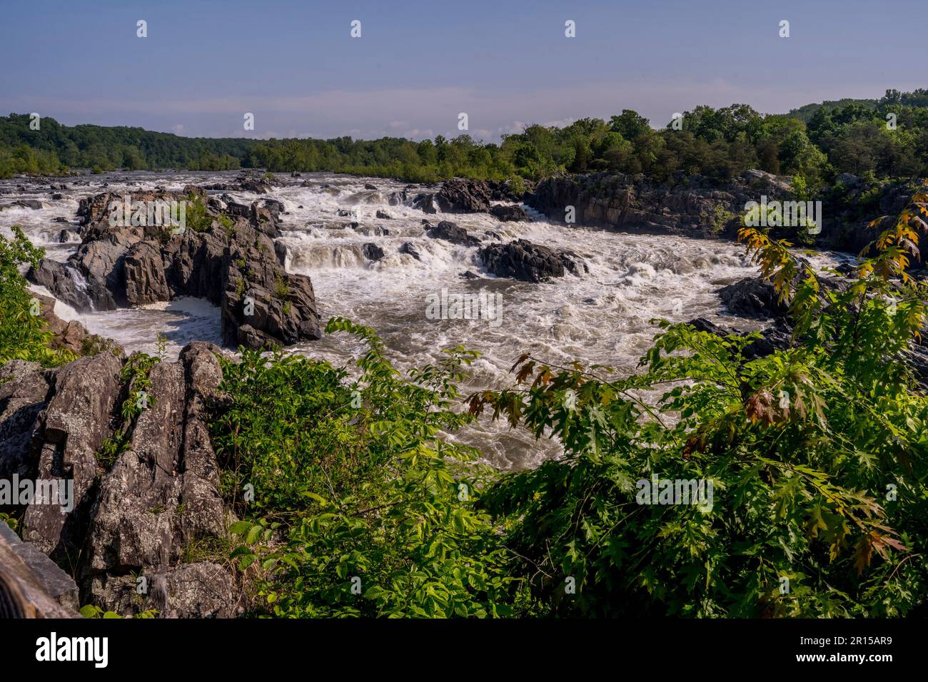 Vista delle Great Falls da una plattform di osservazione lungo il fiume Potomac, il Great Falls Park, Virginia, Stati Uniti d'America. Foto Stock