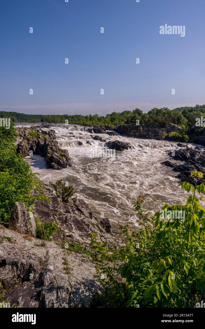 Vista delle Great Falls da una plattform di osservazione lungo il fiume Potomac, il Great Falls Park, Virginia, Stati Uniti d'America. Foto Stock