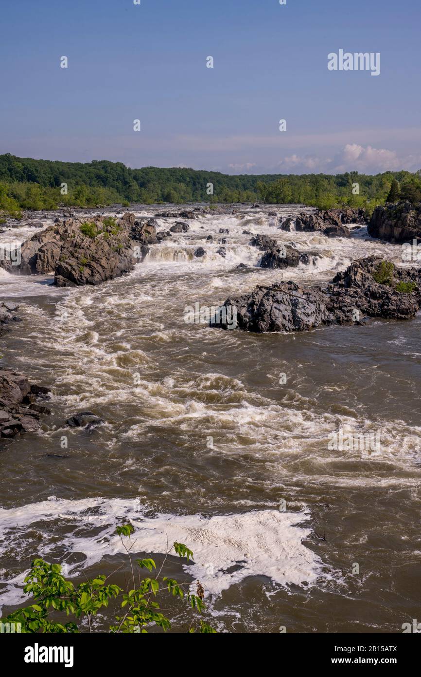 Vista delle Great Falls da una plattform di osservazione lungo il fiume Potomac, il Great Falls Park, Virginia, Stati Uniti d'America. Foto Stock