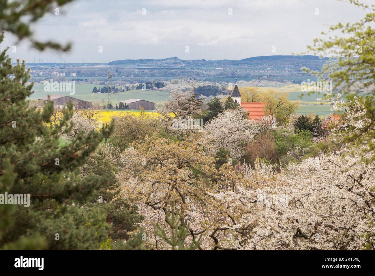 Vista della chiesa della cappella di Timmenrode con il Muro del Diavolo sullo sfondo Foto Stock