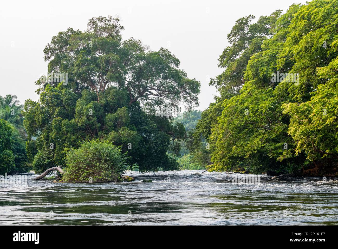 Braccio laterale del fiume Congo, Repubblica Democratica del Congo Foto Stock