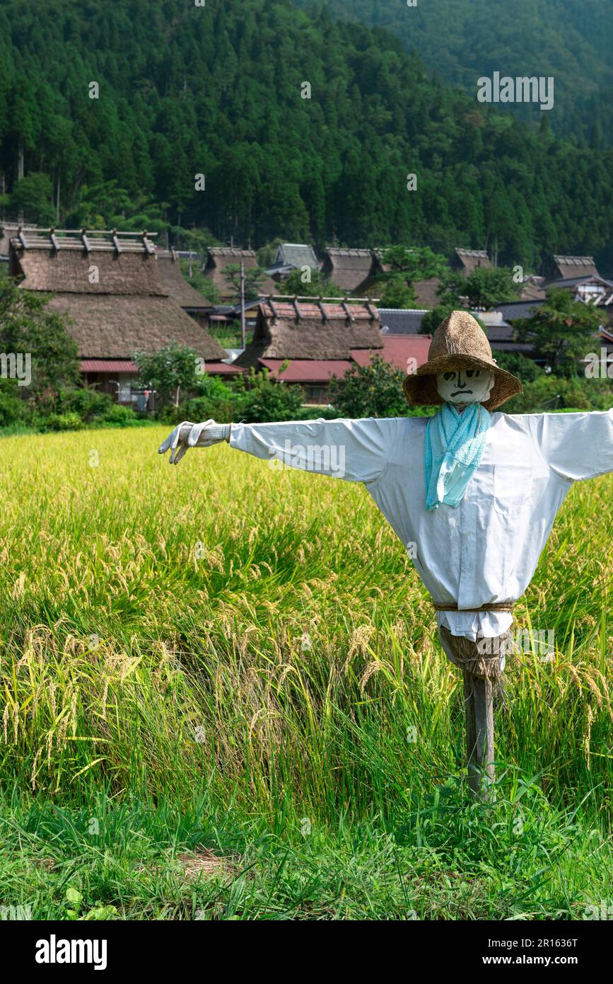 Paesaggio di Miyama con case dal tetto di paglia e piante di riso ondeggianti Foto Stock