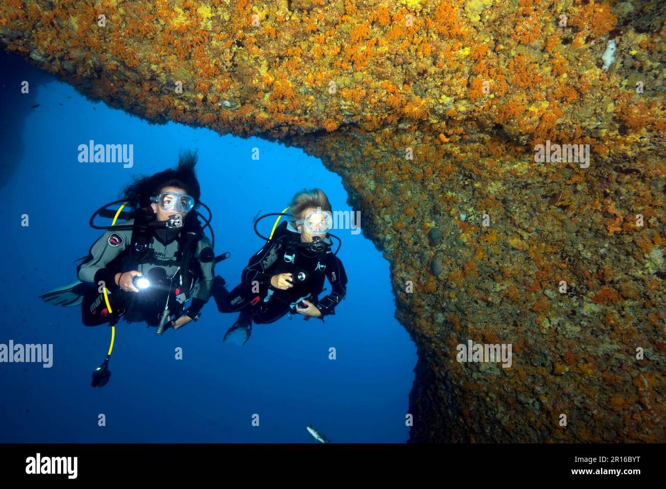 Subacqueo in Grotta di Nereo, Grotta di Nereo, Capo Caccia, Alghero, Sardegna, Italia, Europa, Mar Mediterraneo Foto Stock