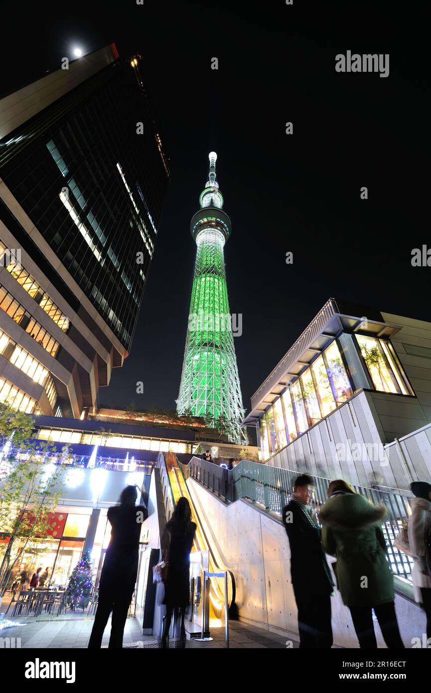 Cielo di Tokyo "albero bianco" Foto Stock