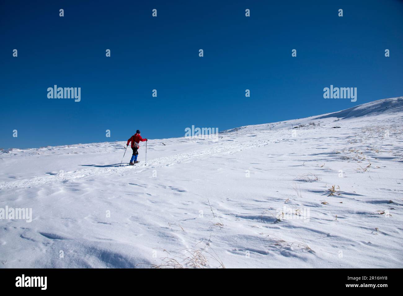 Trekking con racchette da neve sull'altopiano di Kirigamine Foto Stock