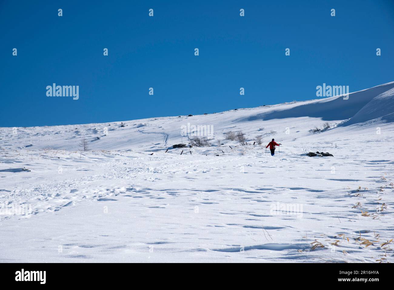 Trekking con racchette da neve sull'altopiano di Kirigamine Foto Stock