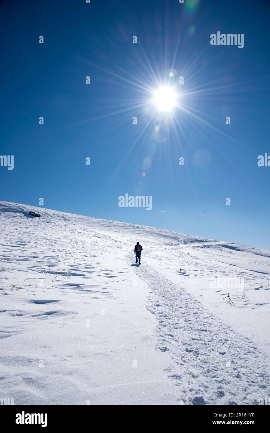 Trekking con racchette da neve sull'altopiano di Kirigamine Foto Stock