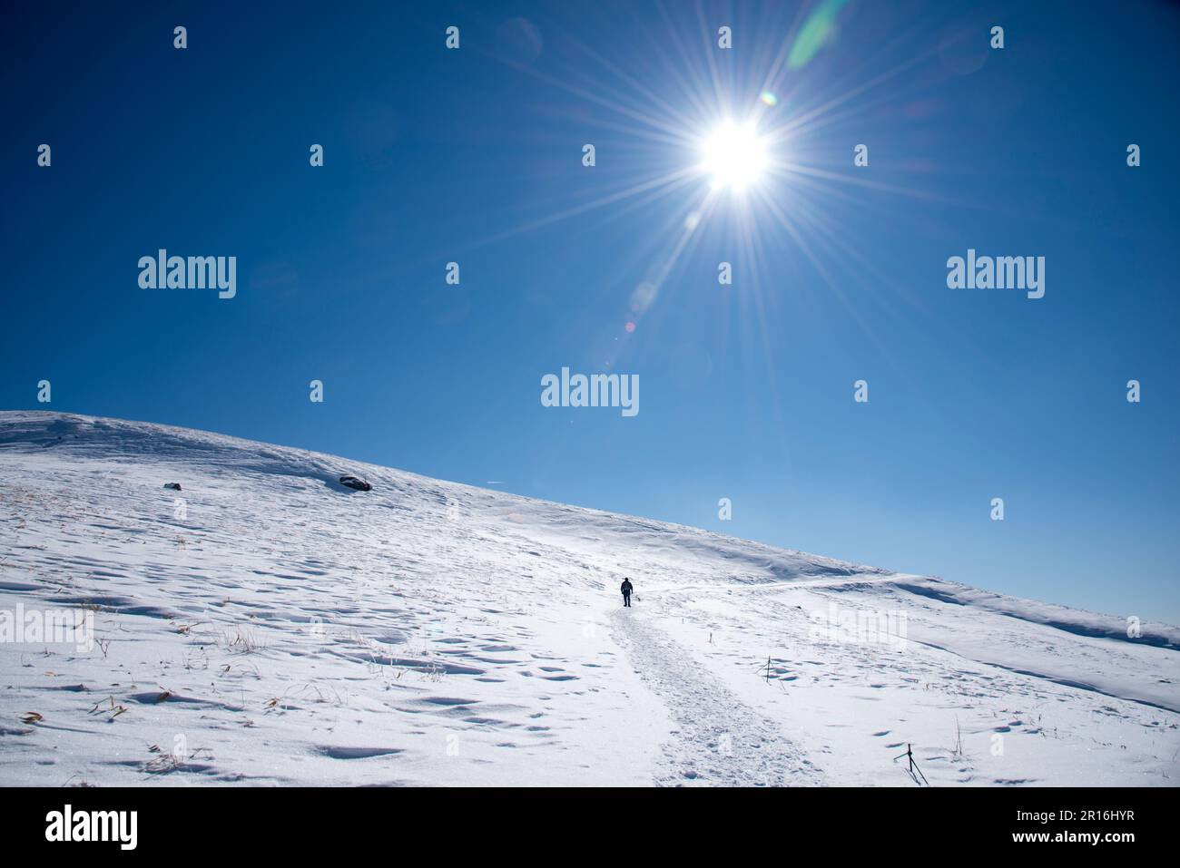 Trekking con racchette da neve sull'altopiano di Kirigamine Foto Stock