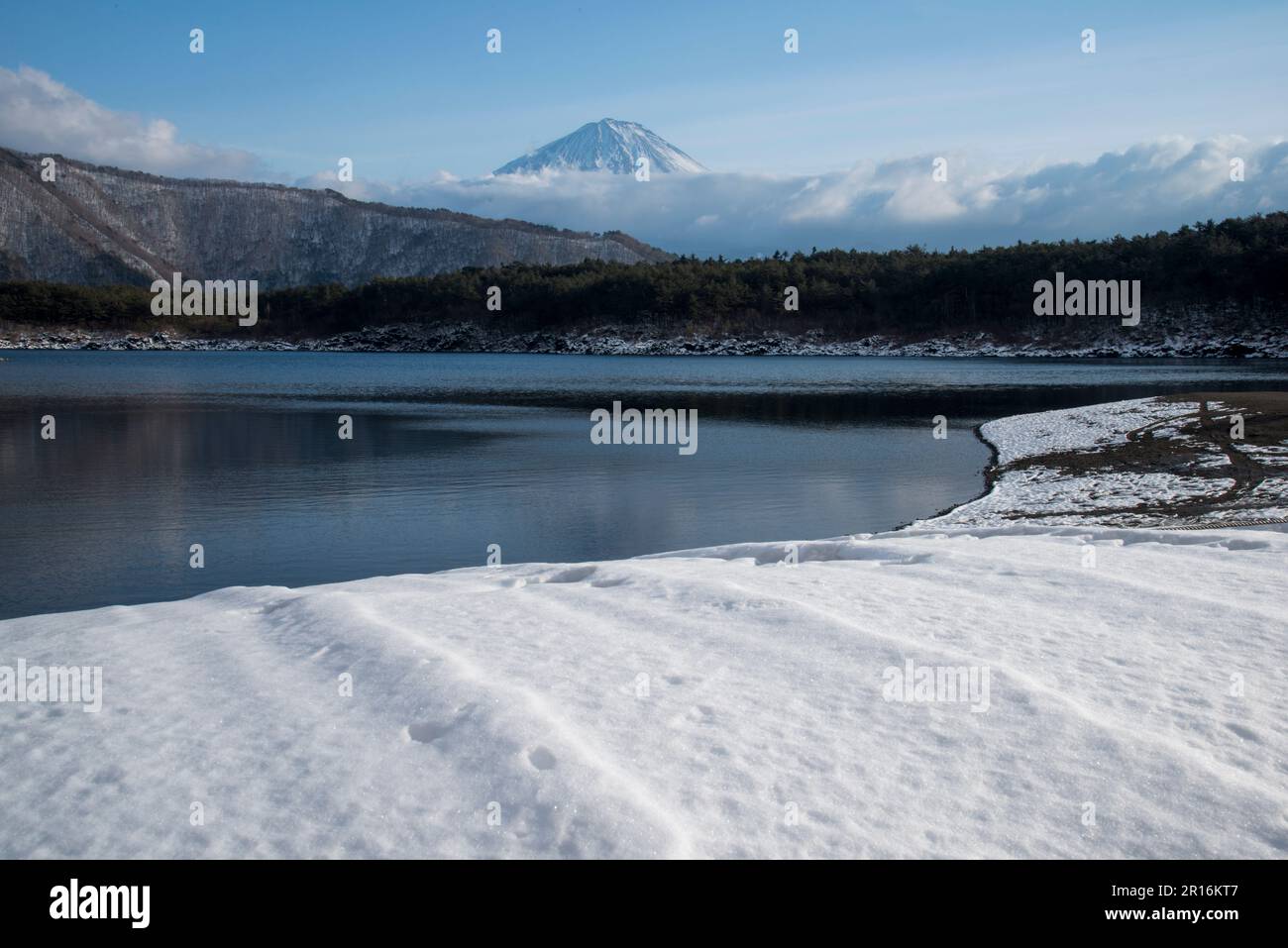 Monte Fuji dal Lago Saiko con scenario innevato Foto Stock