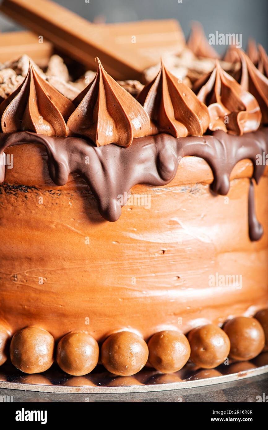 Torta al fango al cioccolato con ganache montate, gocce di cioccolato al latte e decorazioni. Foto Stock