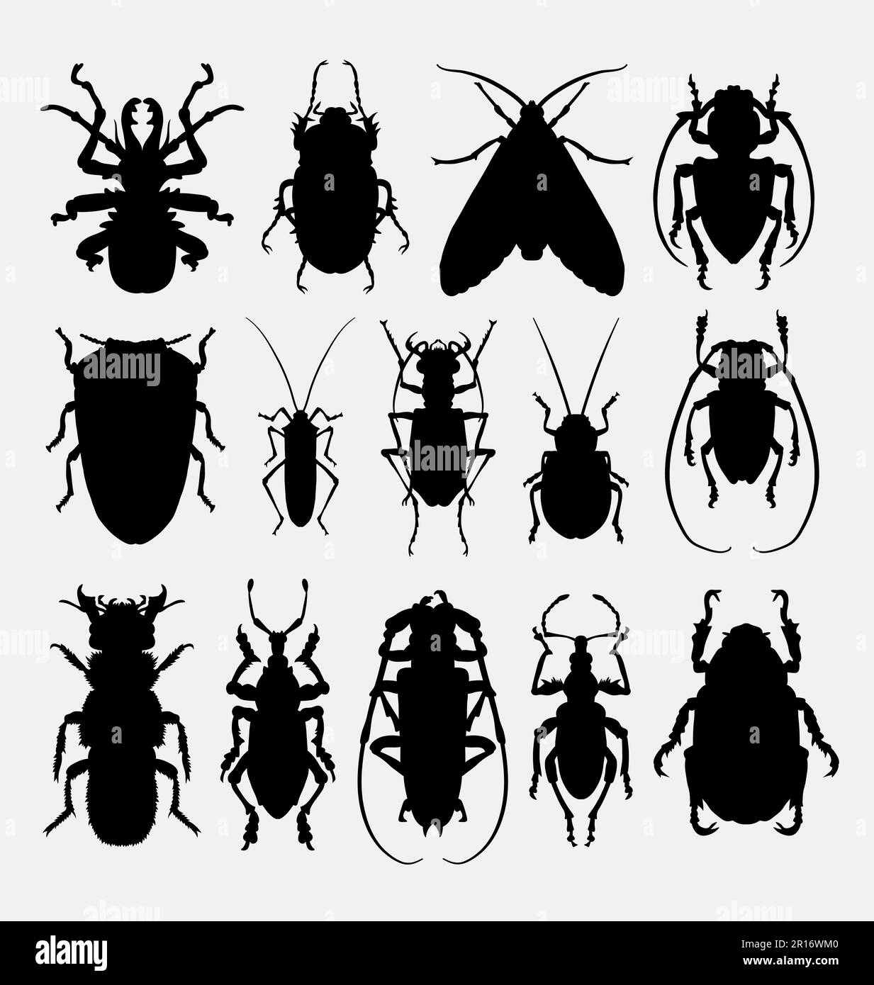 Insetto, insetto, silhouette animale arachnid. Buon uso per simbolo, web icona, logo, mascotte, avatar, elementi di gioco, o qualsiasi design che desideri Illustrazione Vettoriale