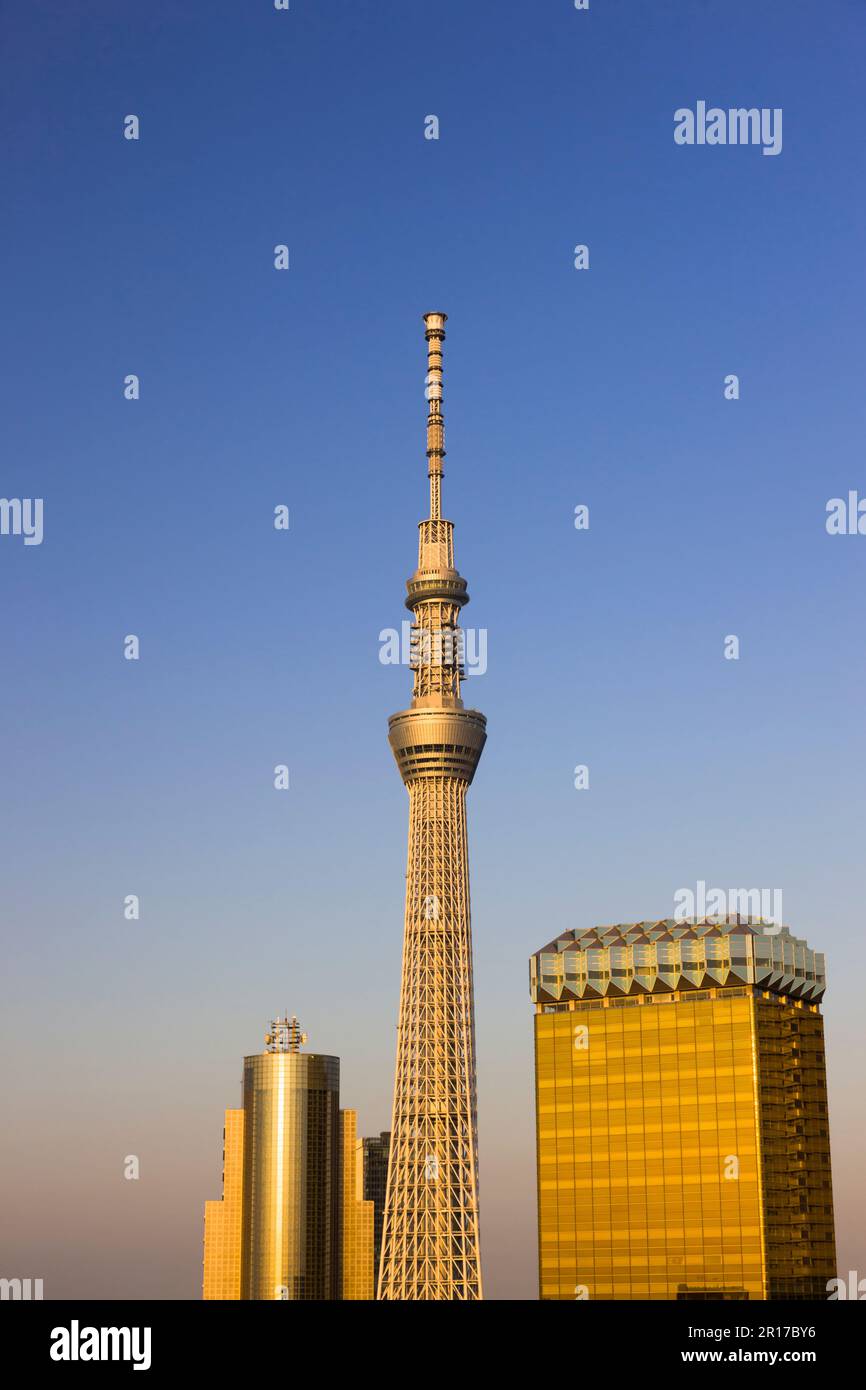 Tokyo Sky Tree al tramonto Foto Stock