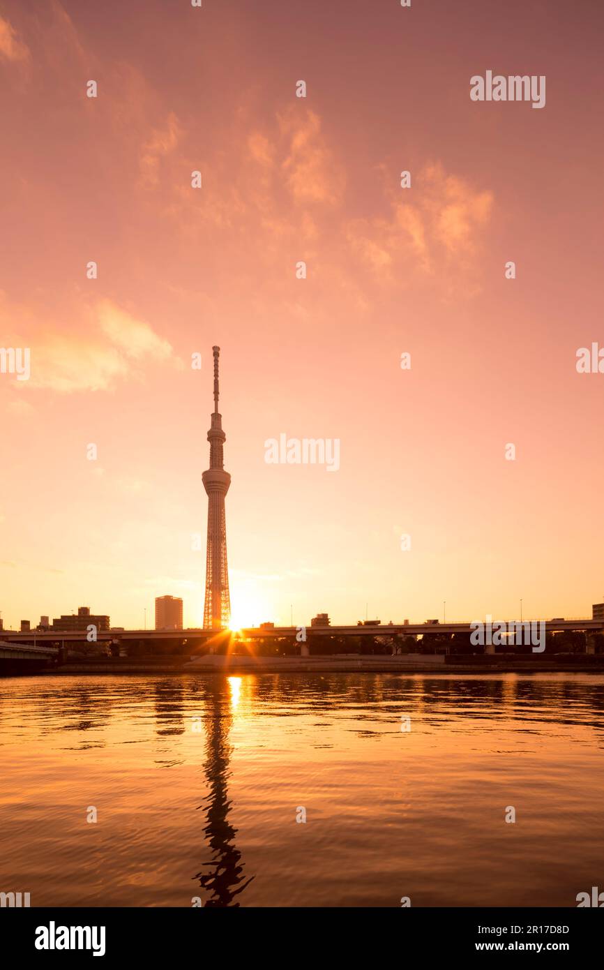 Alba e Tokyo Sky Tree Foto Stock